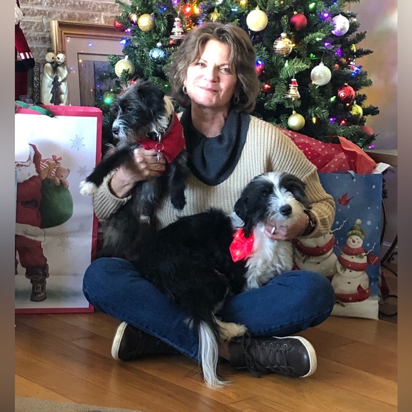 Meet your Posher, Terry - Picture 2 of 5